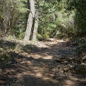 DSC02021