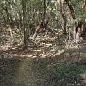 DSC02033