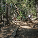 DSC02036