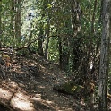DSC02046
