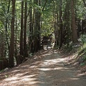 DSC02101