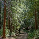 DSC02110
