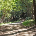 DSC02111