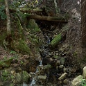 DSC02116