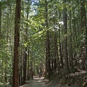 DSC02117
