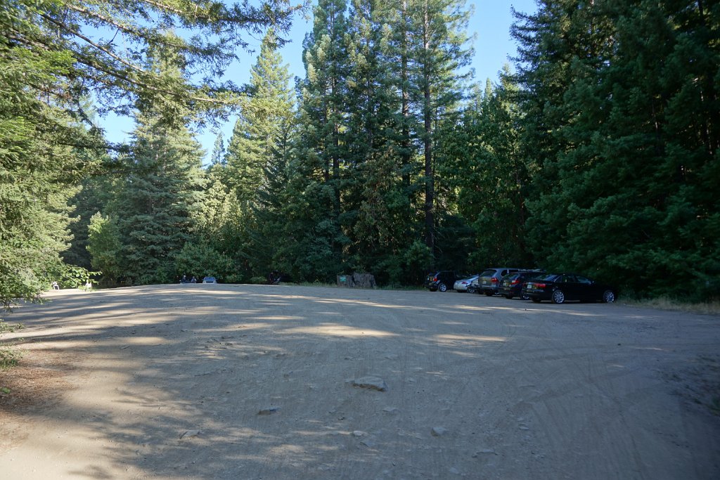 DSC05906