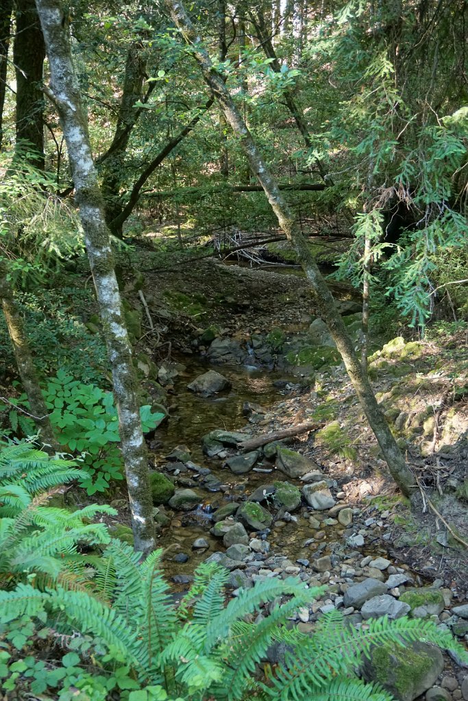 DSC05911
