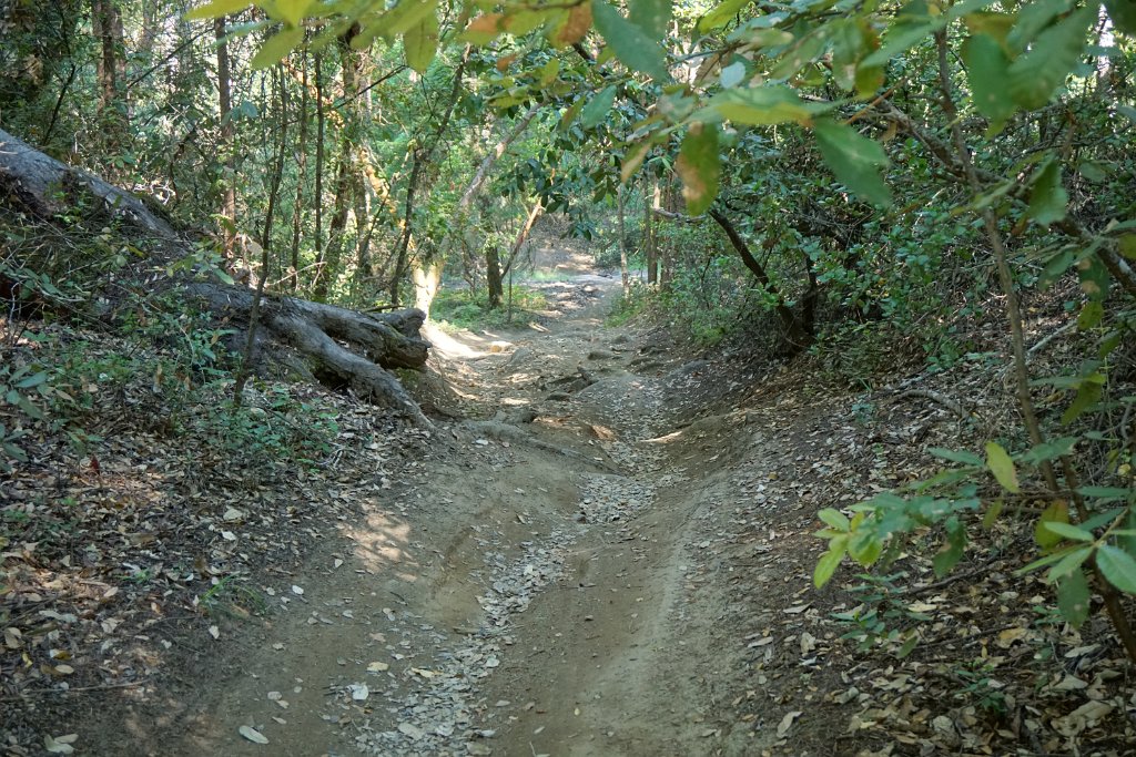 DSC05937