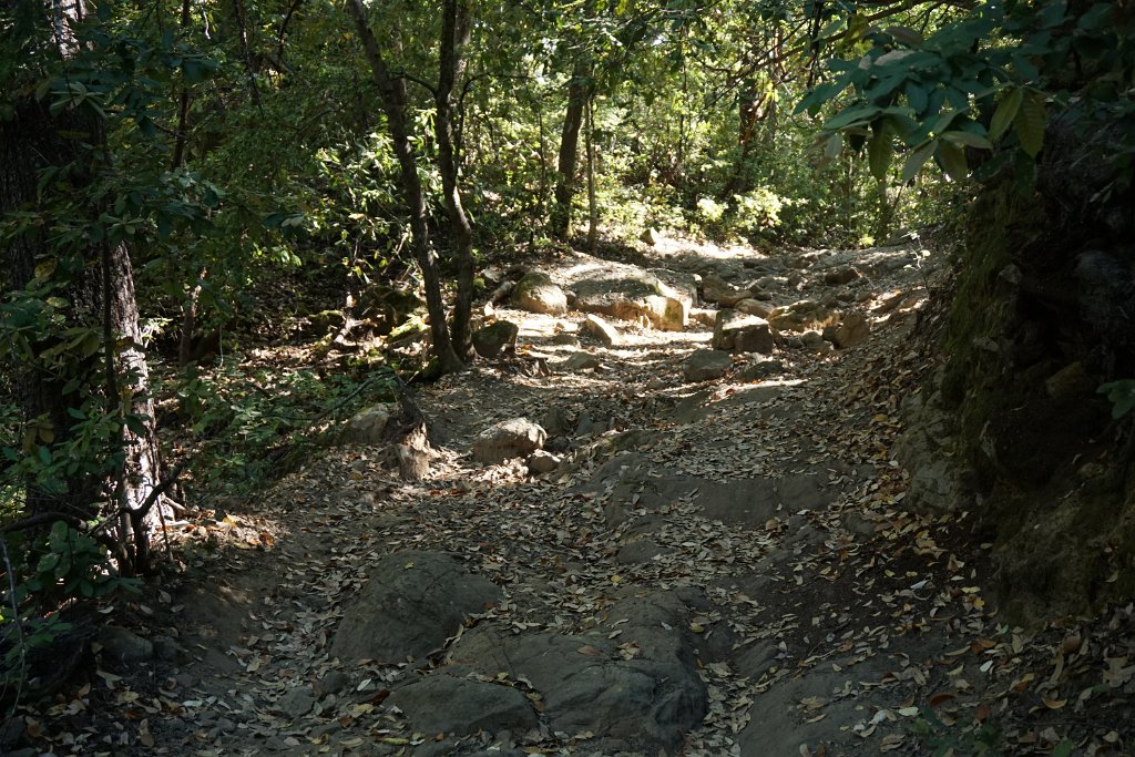 DSC05950