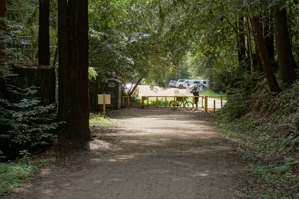 DSC06052