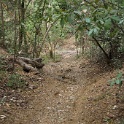 A01009