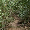 A01019