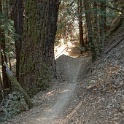 B03595