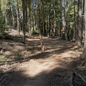 B03599