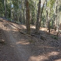 B03605