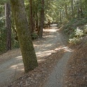 B03607