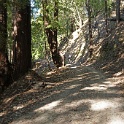 C01131