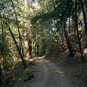 C01136