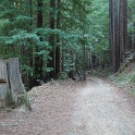 C01150