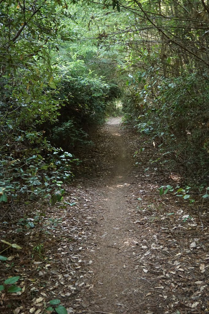 DSC03036