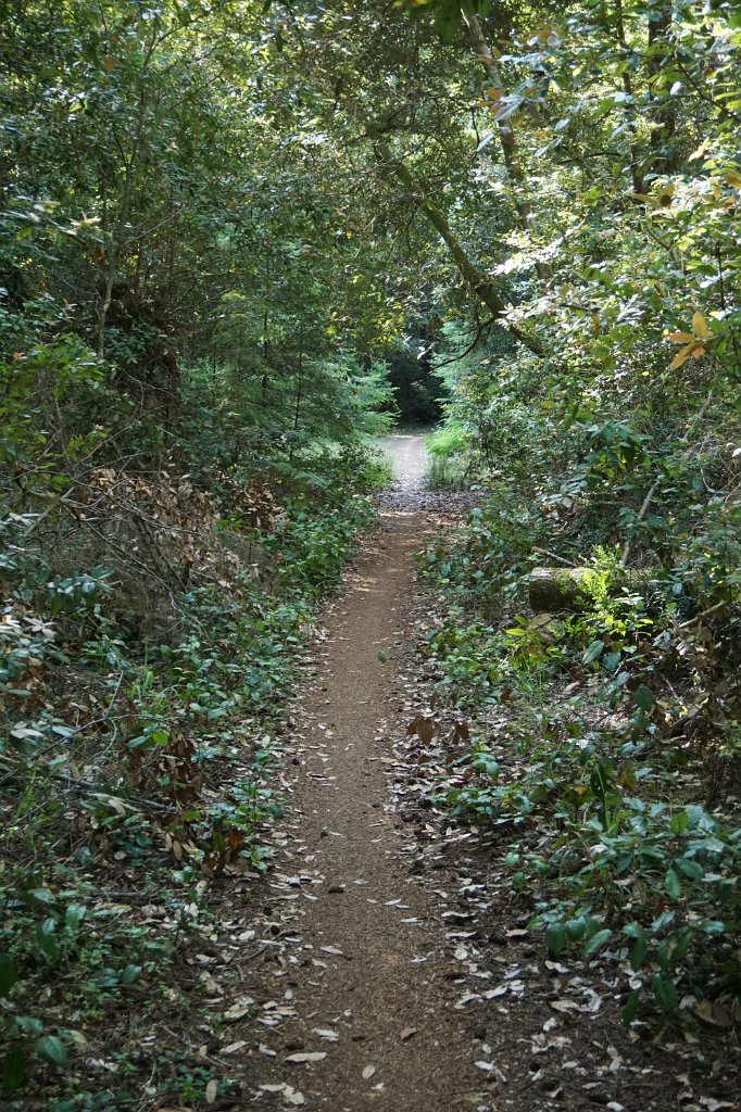 DSC03037