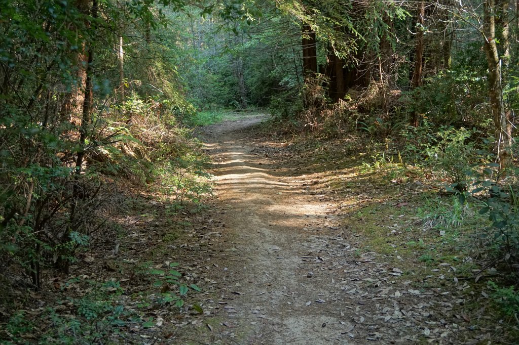 DSC03043