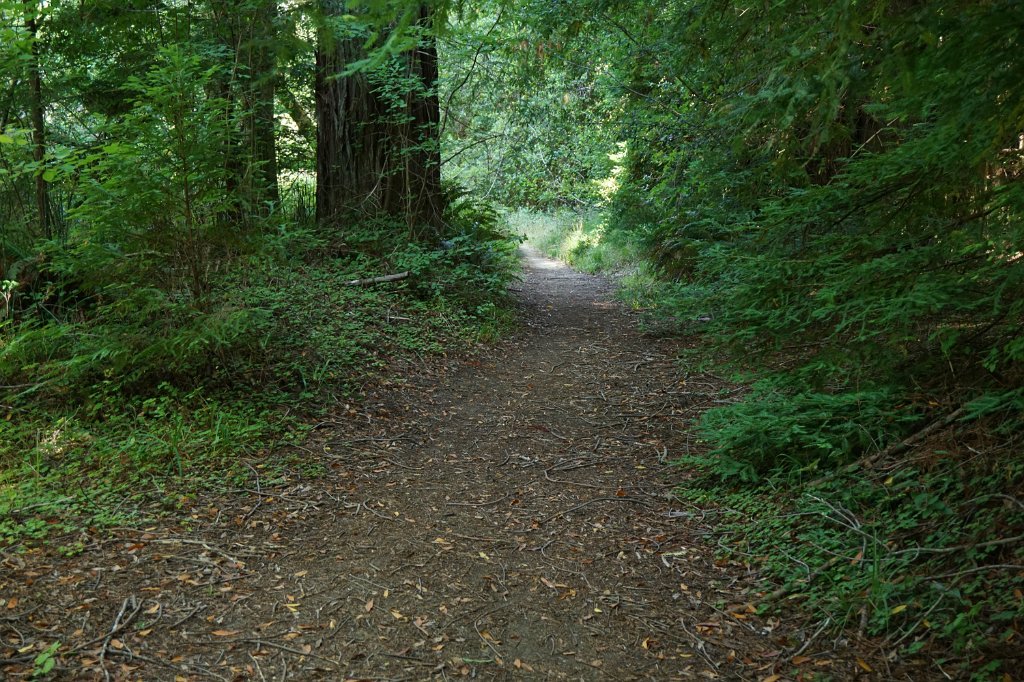 DSC03216