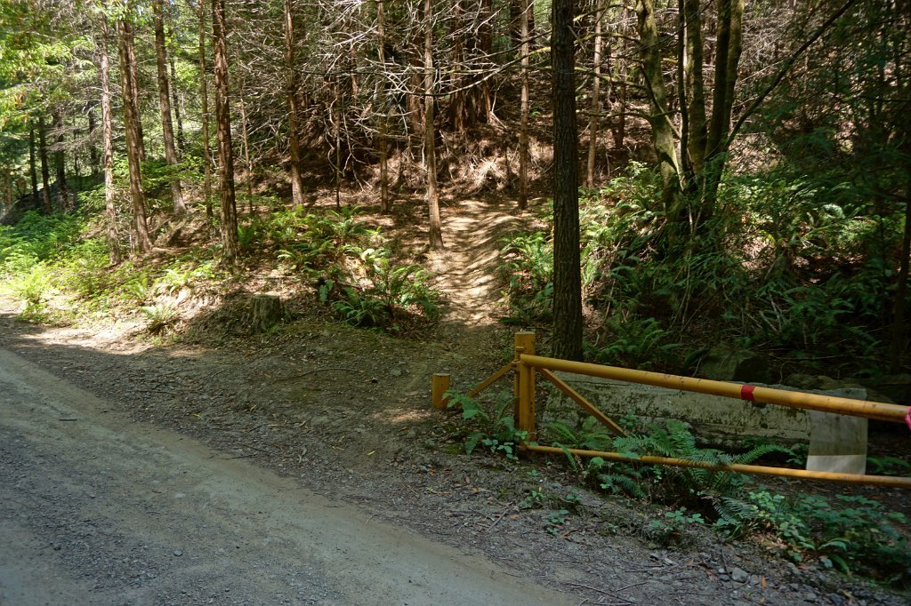DSC03228