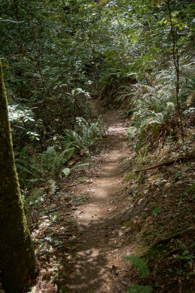 DSC03240