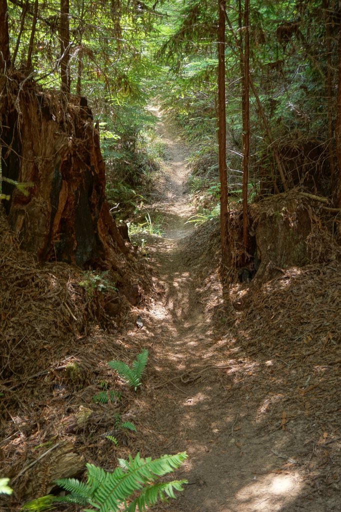 DSC03244