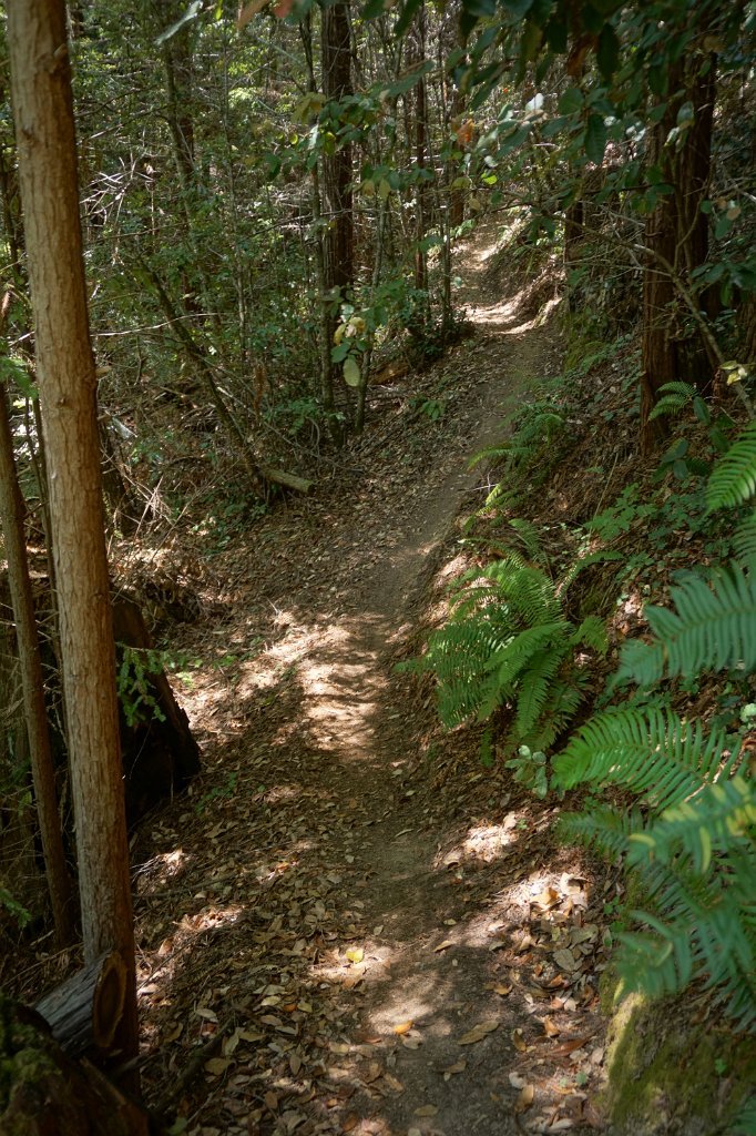 DSC03246