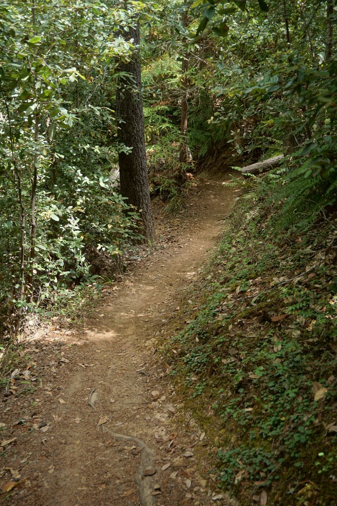 DSC03261