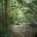 DSC03035