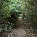 DSC03036