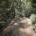 DSC03039