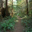 DSC03041