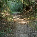 DSC03043