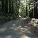 DSC03060