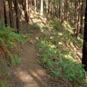DSC03074