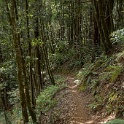 DSC03092