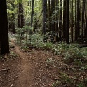 DSC03095