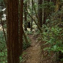 DSC03100