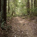 DSC03152