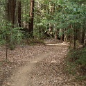 DSC03171
