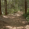 DSC03173