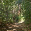 DSC03175