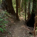 DSC03188