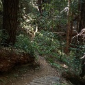 DSC03191
