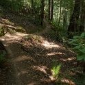 DSC03200