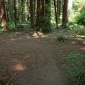 DSC03206